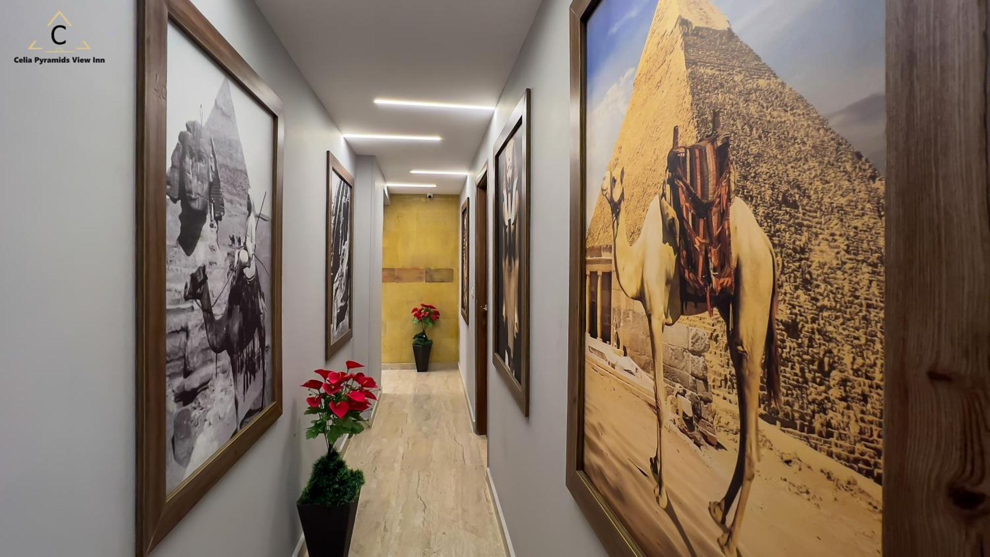 Celia Pyramids View Inn Nazlet el-Sisi Ngoại thất bức ảnh